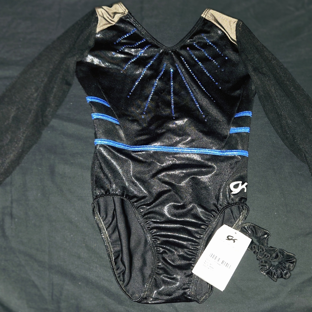 Black and Blue Long Sleeve Gymnastic/Dance Leotard